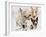 Bull Terrier with Ghost Image-Barbara Keith-Framed Giclee Print