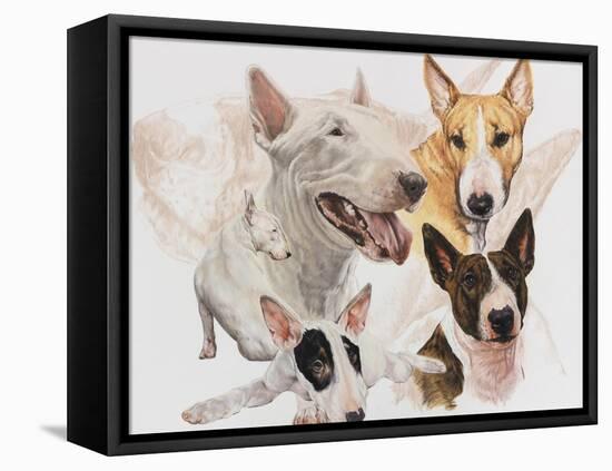 Bull Terrier with Ghost Image-Barbara Keith-Framed Stretched Canvas