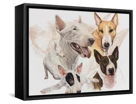 Bull Terrier with Ghost Image-Barbara Keith-Framed Stretched Canvas