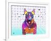 Bull Terrier XI-Fernando Palma-Framed Giclee Print