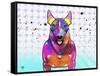 Bull Terrier XI-Fernando Palma-Framed Stretched Canvas