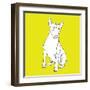 Bull Terrier-Anna Nyberg-Framed Art Print