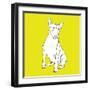 Bull Terrier-Anna Nyberg-Framed Art Print