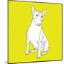 Bull Terrier-Anna Nyberg-Mounted Art Print