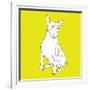 Bull Terrier-Anna Nyberg-Framed Giclee Print