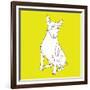 Bull Terrier-Anna Nyberg-Framed Giclee Print