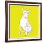 Bull Terrier-Anna Nyberg-Framed Giclee Print