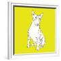 Bull Terrier-Anna Nyberg-Framed Giclee Print