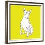 Bull Terrier-Anna Nyberg-Framed Giclee Print