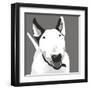 Bull Terrier-Emily Burrowes-Framed Giclee Print