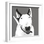 Bull Terrier-Emily Burrowes-Framed Giclee Print