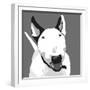 Bull Terrier-Emily Burrowes-Framed Art Print