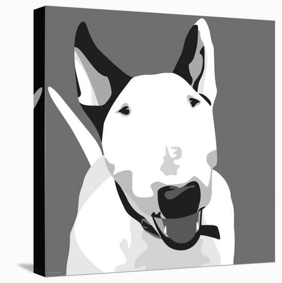 Bull Terrier-Emily Burrowes-Stretched Canvas