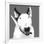 Bull Terrier-Emily Burrowes-Framed Art Print