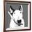 Bull Terrier-Emily Burrowes-Framed Art Print