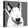 Bull Terrier-Emily Burrowes-Stretched Canvas