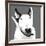 Bull Terrier-Emily Burrowes-Framed Art Print