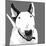 Bull Terrier-Emily Burrowes-Mounted Premium Giclee Print