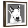 Bull Terrier-Emily Burrowes-Framed Art Print