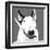 Bull Terrier-Emily Burrowes-Framed Art Print