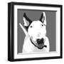 Bull Terrier-Emily Burrowes-Framed Art Print