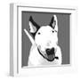 Bull Terrier-Emily Burrowes-Framed Art Print