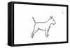 Bull terrier-Sarah Thompson-Engels-Framed Stretched Canvas