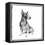 Bull Terrier-null-Framed Stretched Canvas