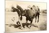 Bull Throwing Rodeo Rider-null-Mounted Art Print