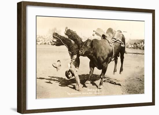 Bull Throwing Rodeo Rider-null-Framed Art Print