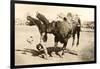 Bull Throwing Rodeo Rider-null-Framed Art Print