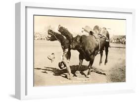 Bull Throwing Rodeo Rider-null-Framed Art Print