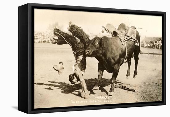 Bull Throwing Rodeo Rider-null-Framed Stretched Canvas