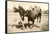 Bull Throwing Rodeo Rider-null-Framed Stretched Canvas