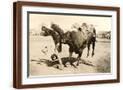 Brown Frame