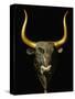 Bull with Horns of Gilded Wood, Black Steatite Rhyton (1700-1400 BCE), Minoan-null-Stretched Canvas