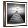 Bull-Moises Levy-Framed Premium Photographic Print