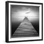 Bull-Moises Levy-Framed Premium Photographic Print