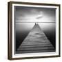 Bull-Moises Levy-Framed Premium Photographic Print