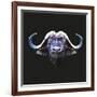 Bull-Lora Kroll-Framed Art Print