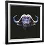 Bull-Lora Kroll-Framed Art Print