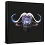 Bull-Lora Kroll-Framed Stretched Canvas