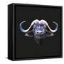 Bull-Lora Kroll-Framed Stretched Canvas