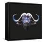 Bull-Lora Kroll-Framed Stretched Canvas