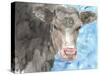 Bull-Beverly Dyer-Stretched Canvas