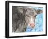 Bull-Beverly Dyer-Framed Art Print