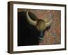 Bull-James W. Johnson-Framed Giclee Print