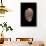 Bulla Striata-Paul Starosta-Mounted Premium Photographic Print displayed on a wall