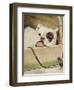 Bulldog, 1927-Cecil Aldin-Framed Giclee Print