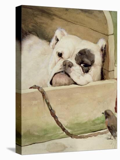 Bulldog, 1927-Cecil Aldin-Stretched Canvas